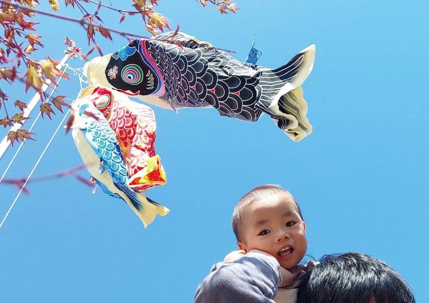 鯉のぼり | ブログ | ベビー用品なら赤ちゃんデパート水谷