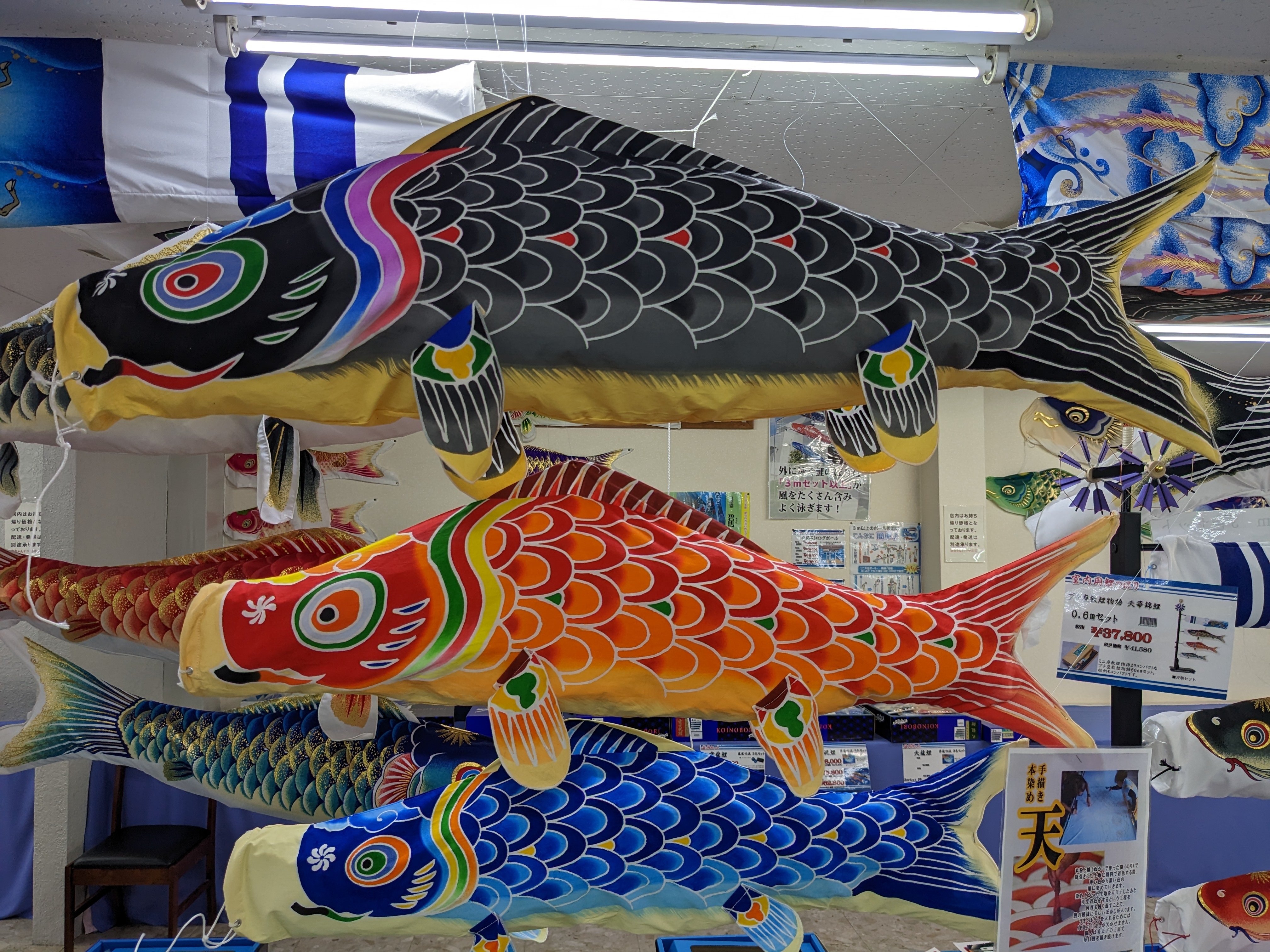 鯉のぼりを楽しもう！｜赤ちゃんデパート水谷蟹江店 | ブログ | ベビー